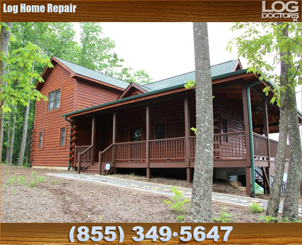 Log_Home_Repair_Images