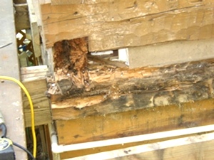 Log Home Repair