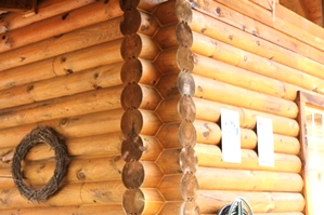 Log Home Repair Images