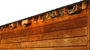 Log Home Repair Images