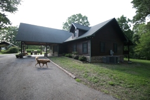 Log Home Chinking and Staining