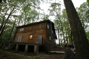 Log Home Restoration