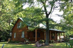 Log Cabin Staining