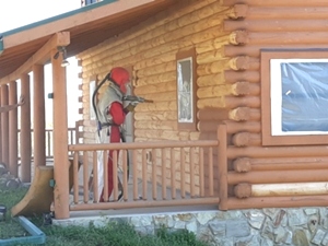 Log Cabin Restoration